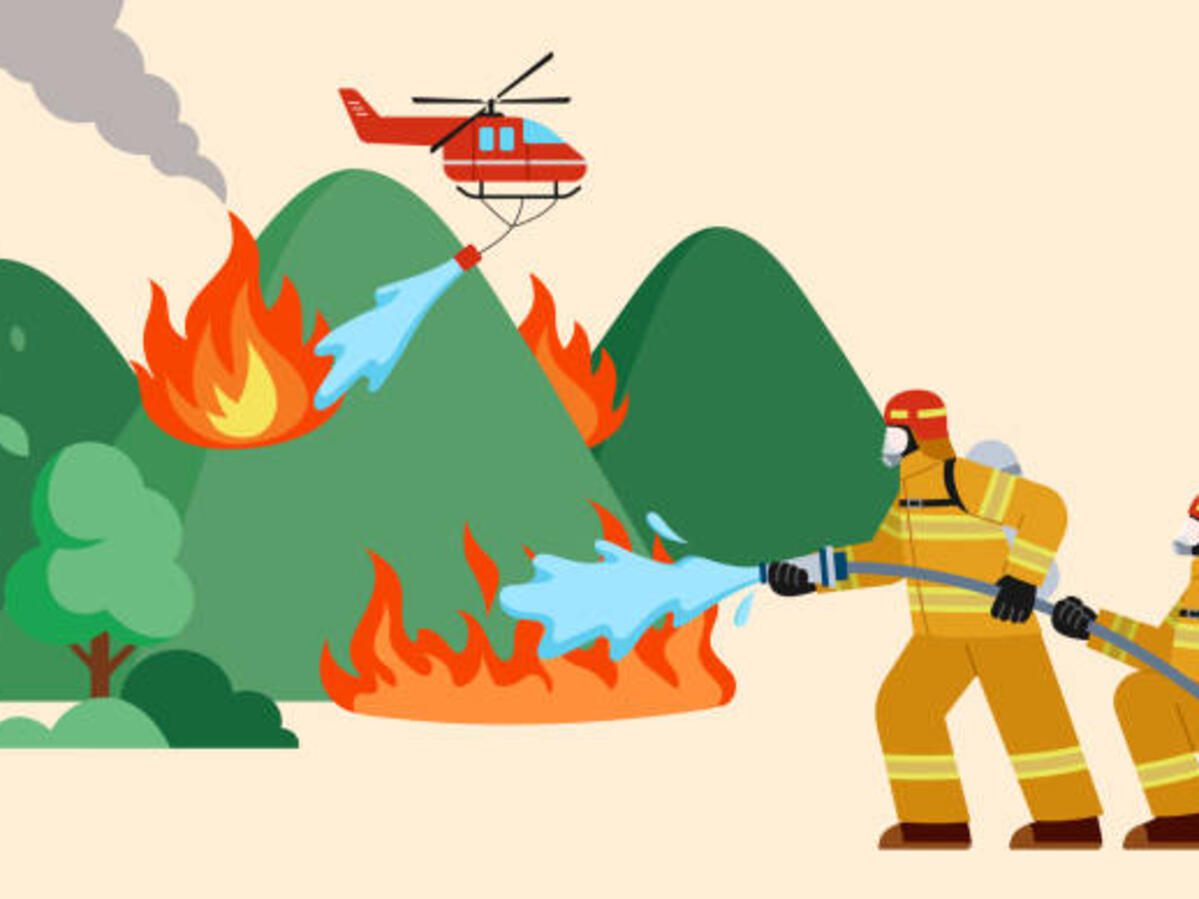 Wildfire