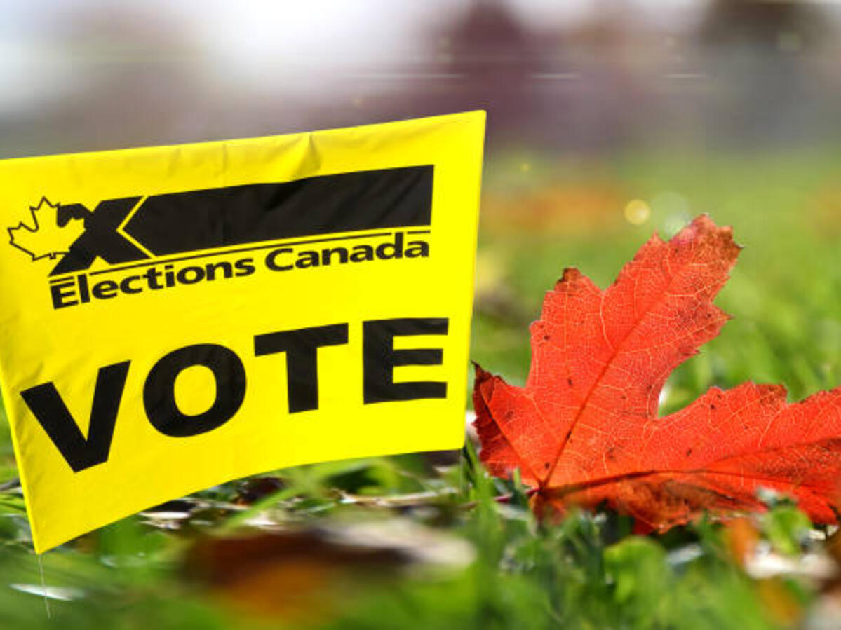 vote