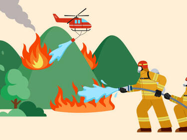 Wildfire